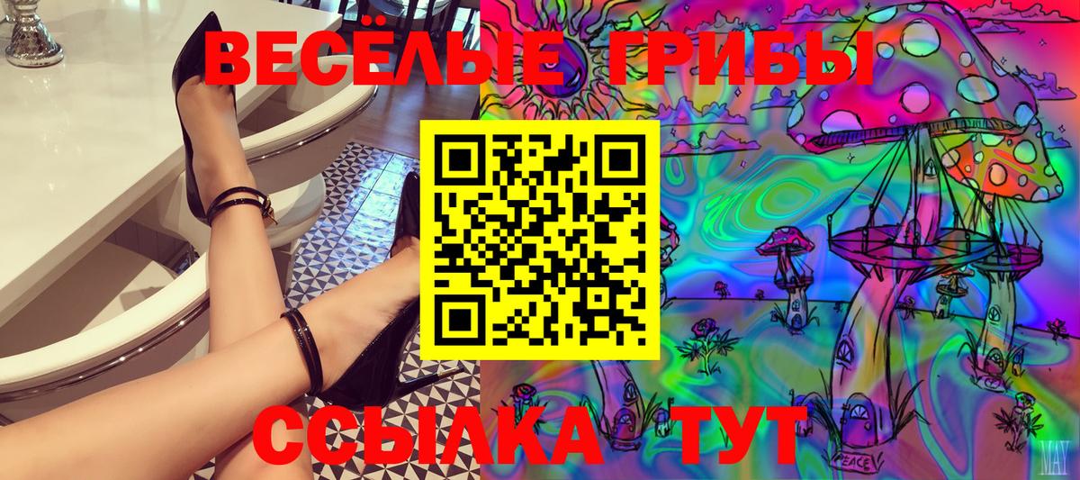 Галлюциногенные грибы Psilocybine cubensis  Вход с VPN  Ессентуки 