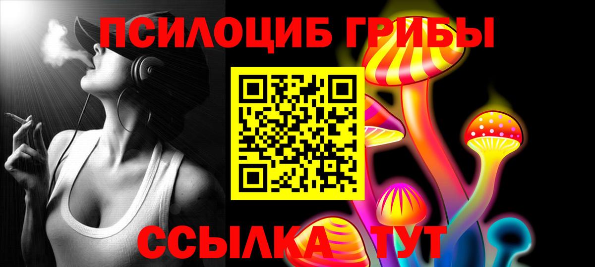 Псилоцибиновые грибы прущие грибы Ессентуки