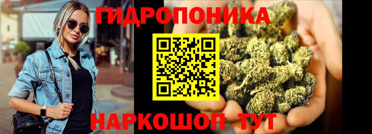 Бошки марихуана индика Ессентуки